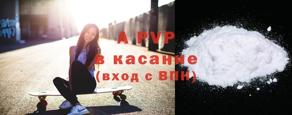 стаф Алексин
