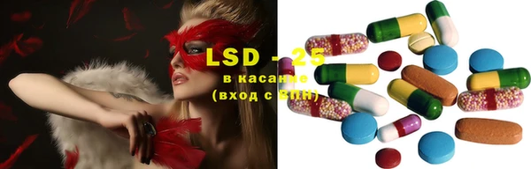 стаф Алексин