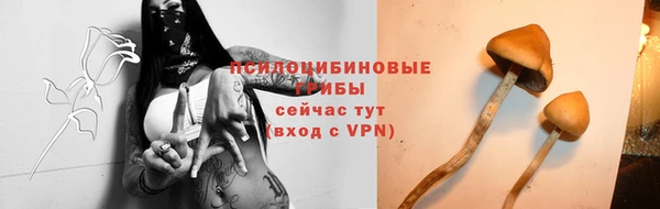 apvp Тобольск