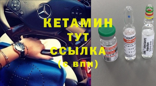 шишки Абаза
