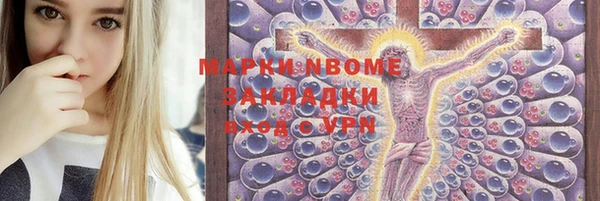 шишки Абаза