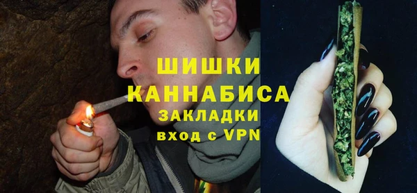 шишки Абаза