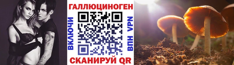 Галлюциногенные грибы мухоморы  Благовещенск 